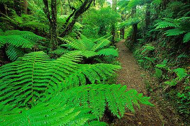 魂系风格肉鸽新作《Alterborn》公布 宣传片欣赏